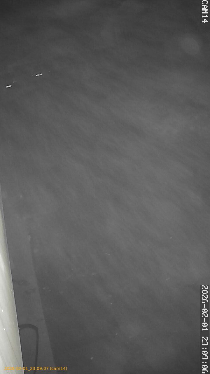 thumbnail_20260201230907