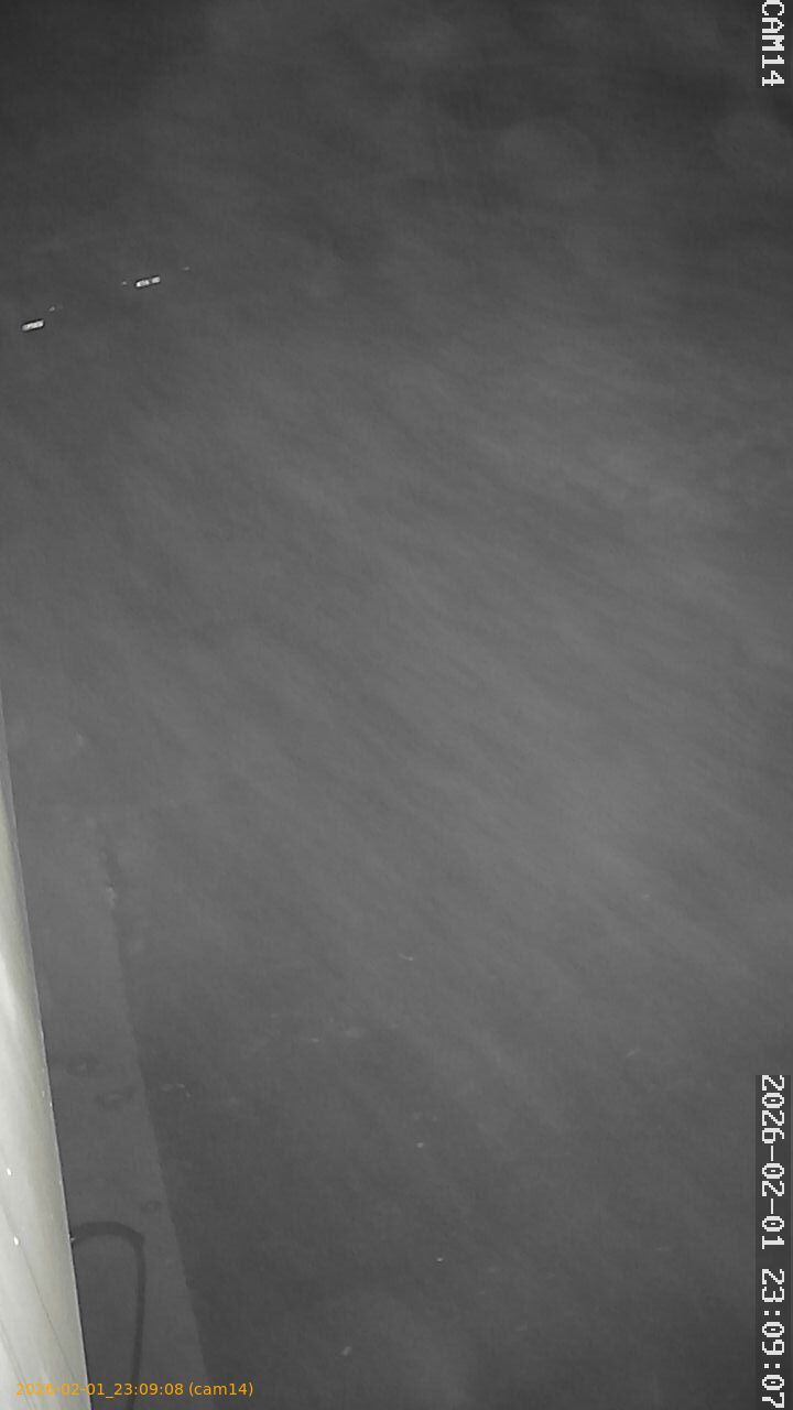 thumbnail_20260201230908