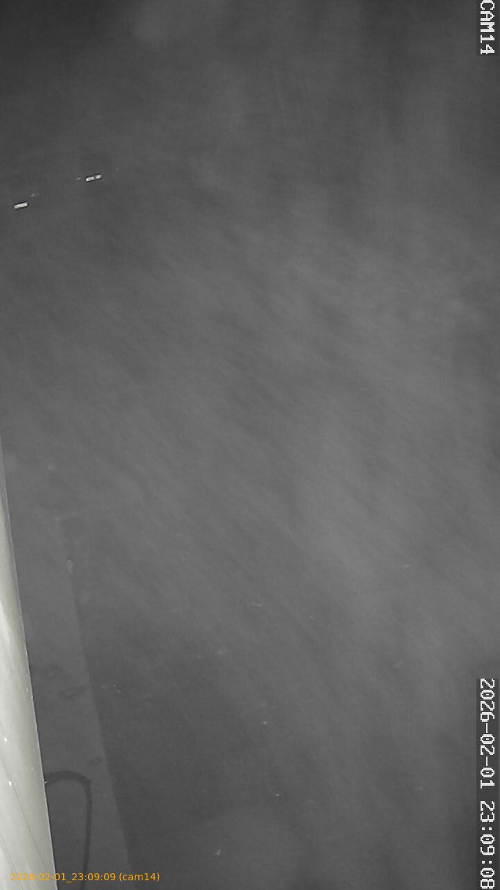 thumbnail_20260201230909