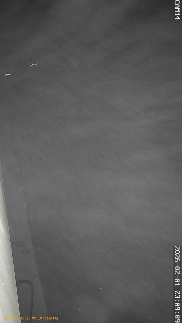 thumbnail_20260201230910