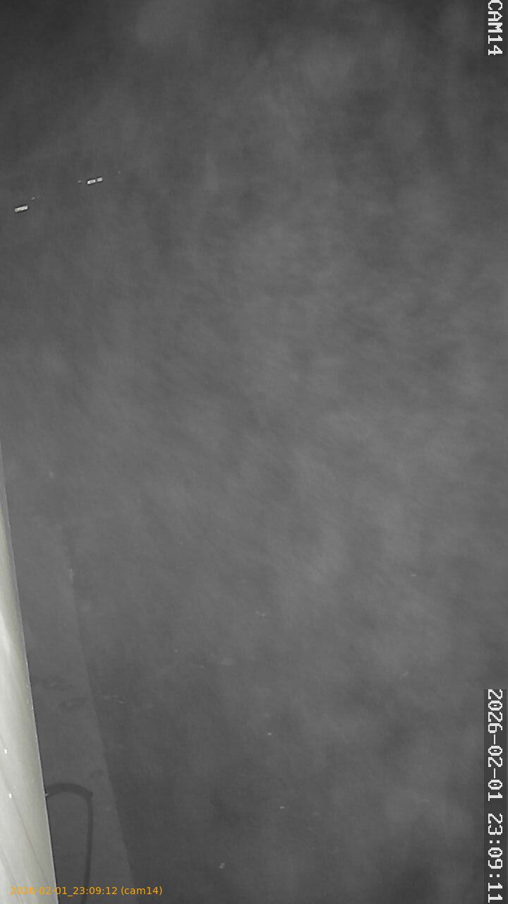 thumbnail_20260201230912