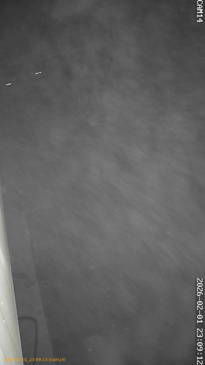 thumbnail_20260201230913