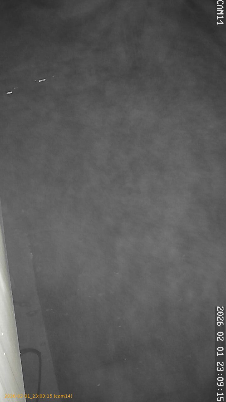 thumbnail_20260201230915