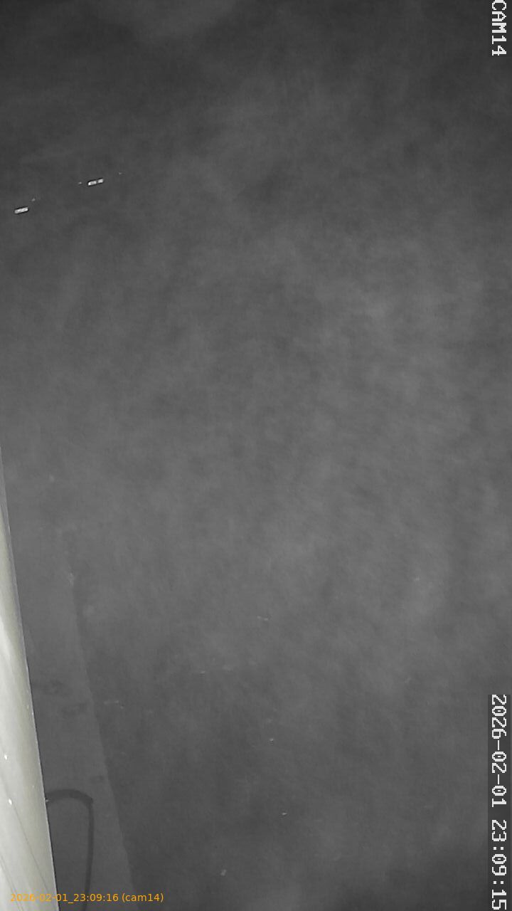 thumbnail_20260201230916