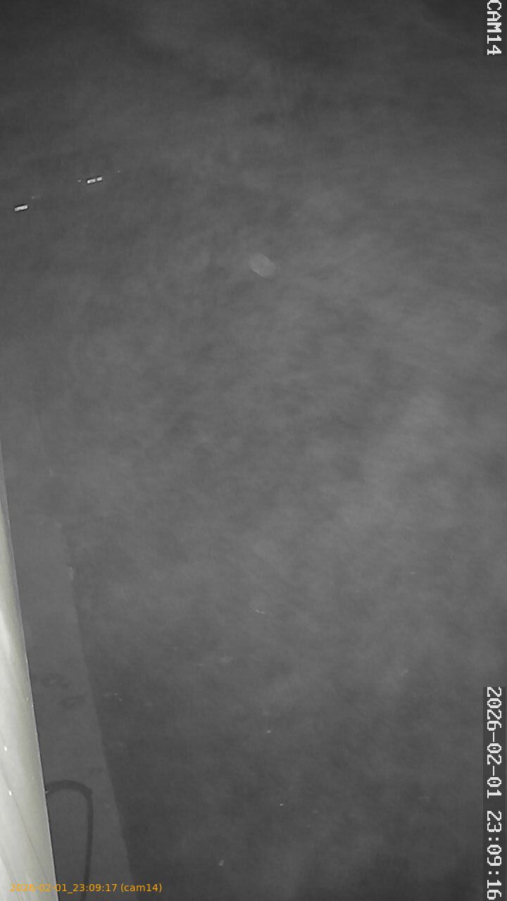 thumbnail_20260201230917