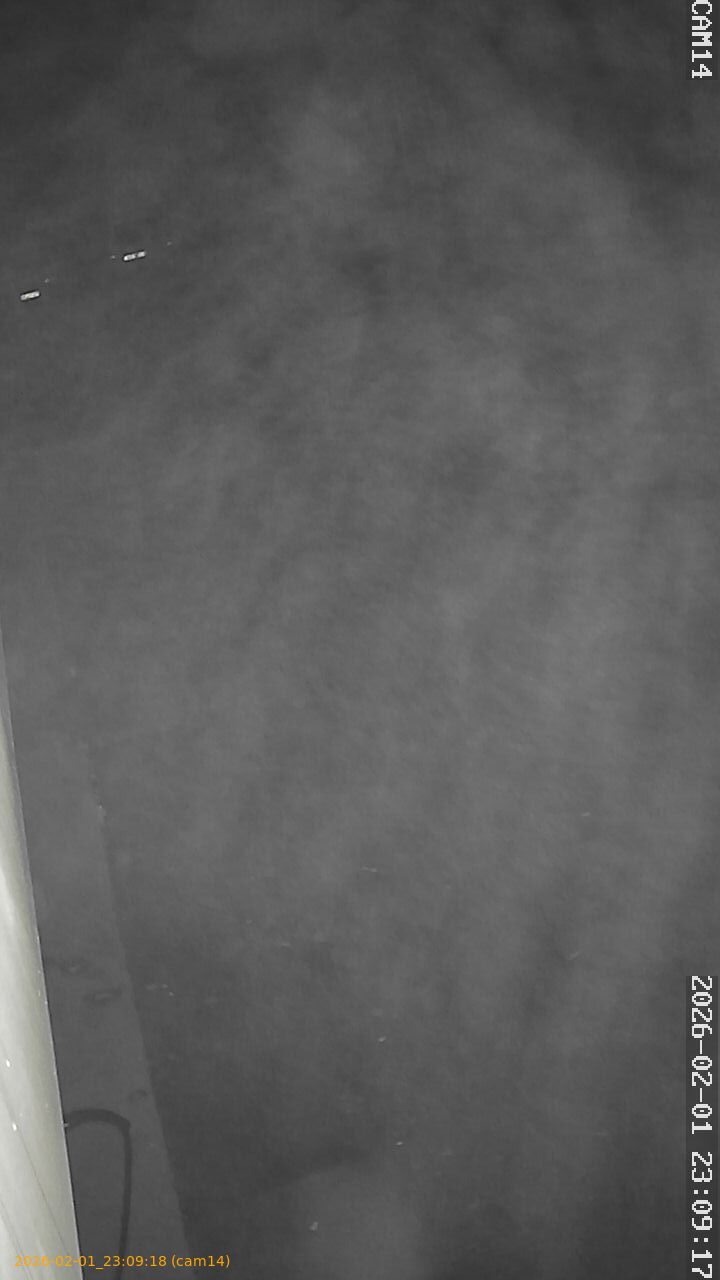 thumbnail_20260201230918