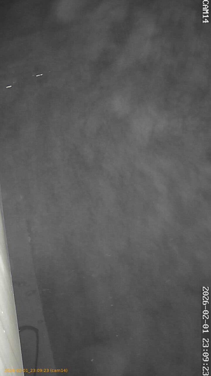 thumbnail_20260201230923