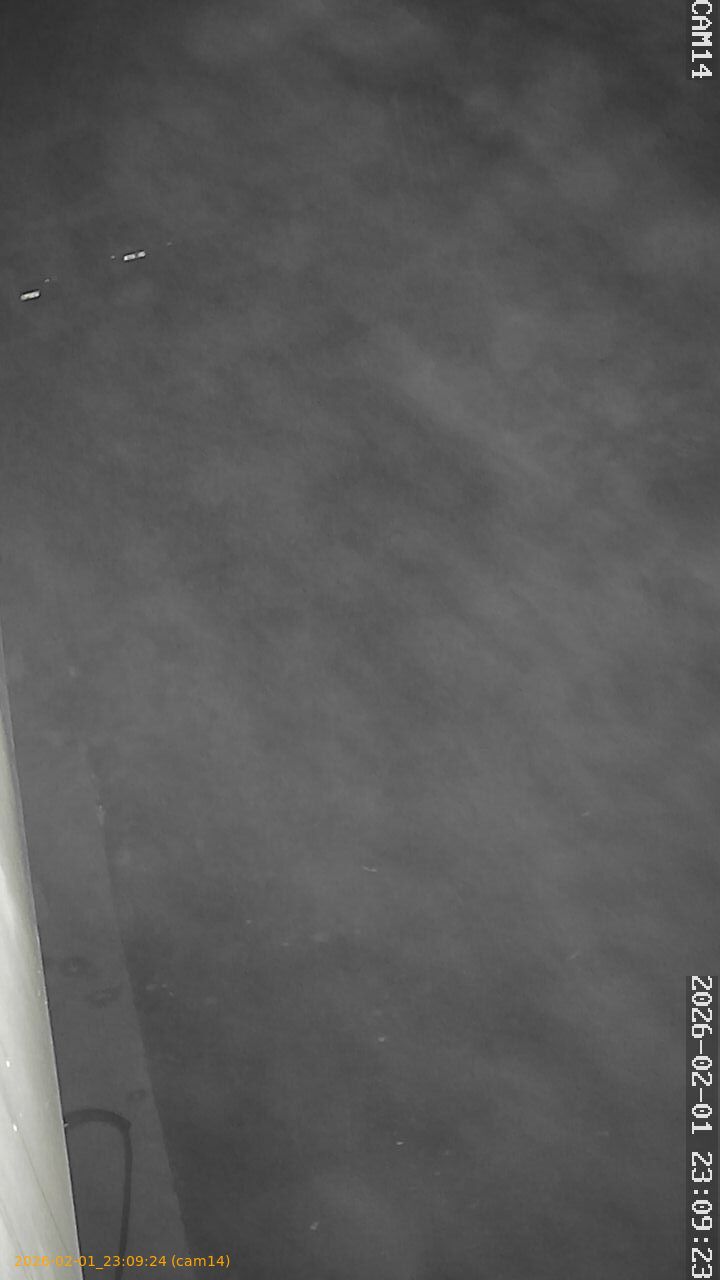 thumbnail_20260201230924