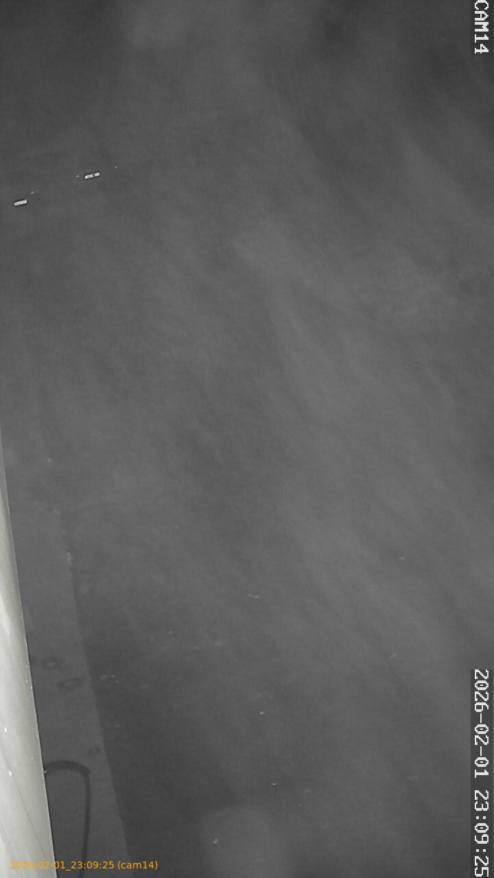 thumbnail_20260201230925