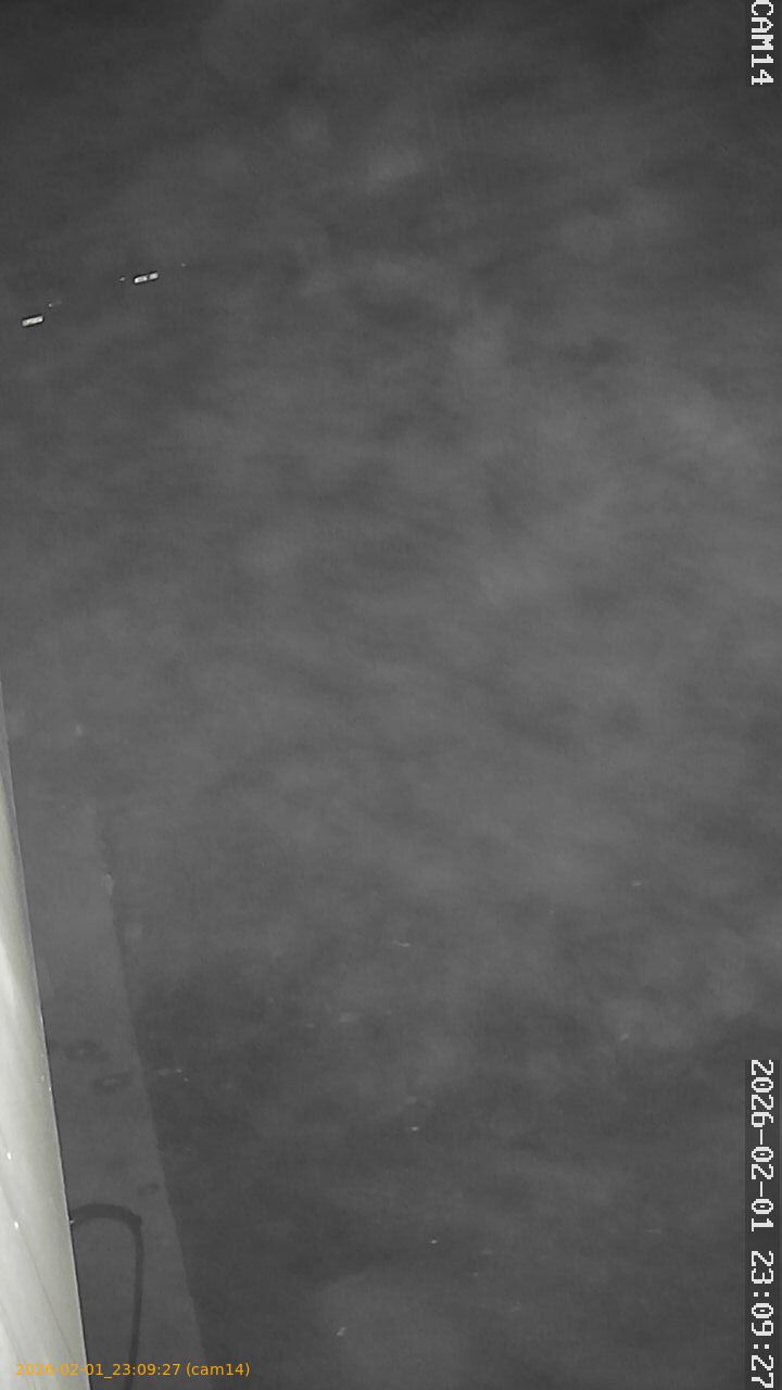 thumbnail_20260201230927