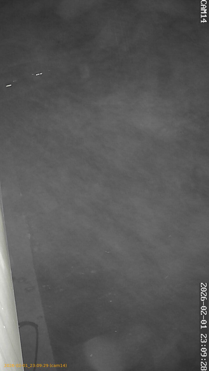 thumbnail_20260201230929