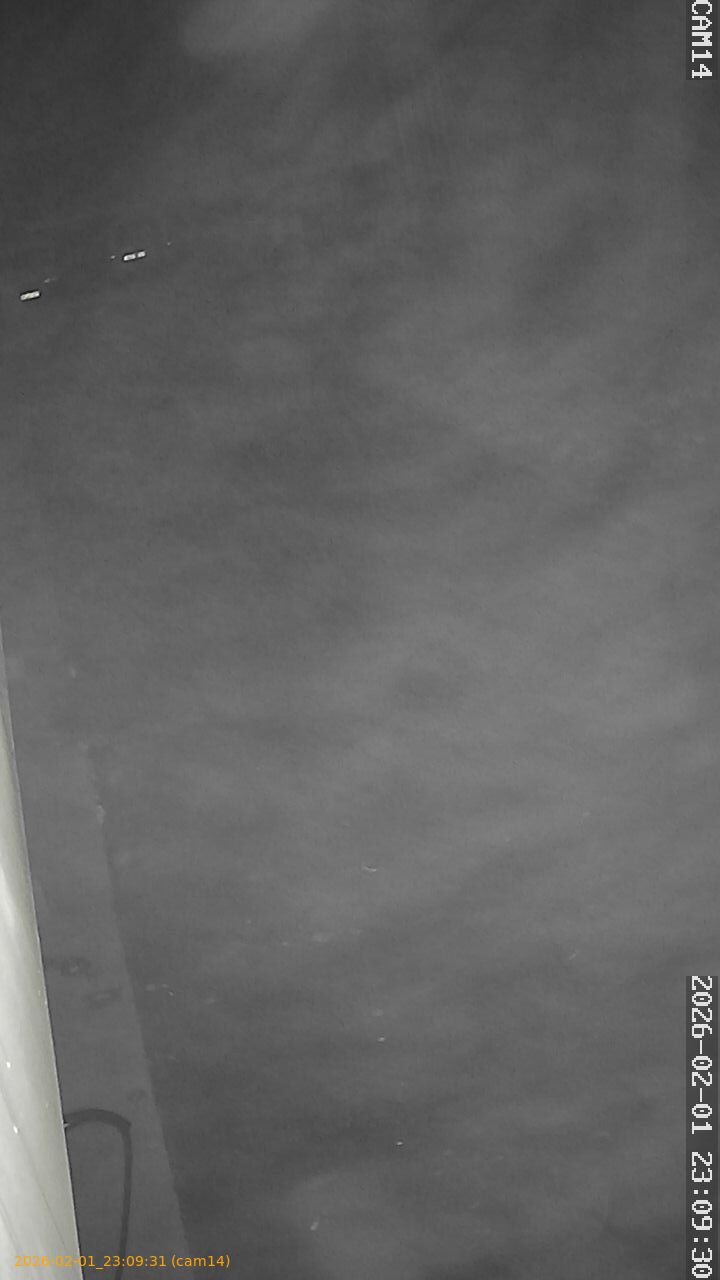 thumbnail_20260201230931