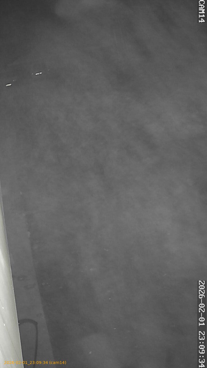 thumbnail_20260201230934