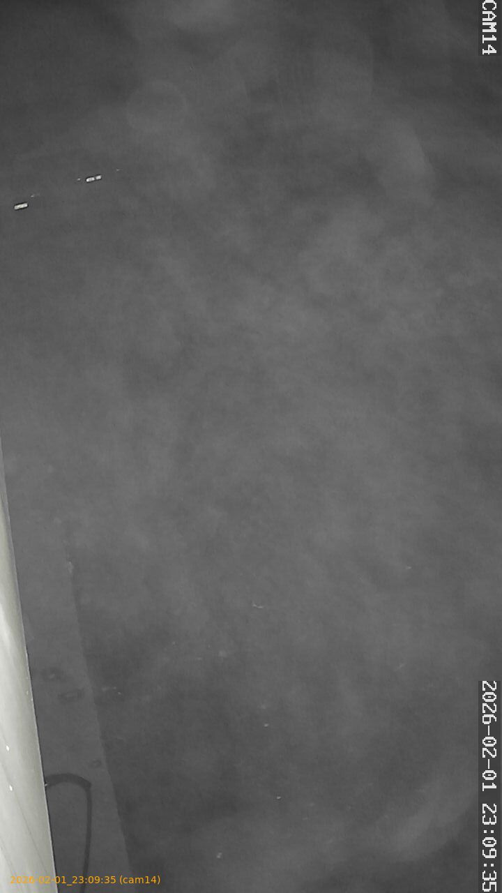 thumbnail_20260201230935