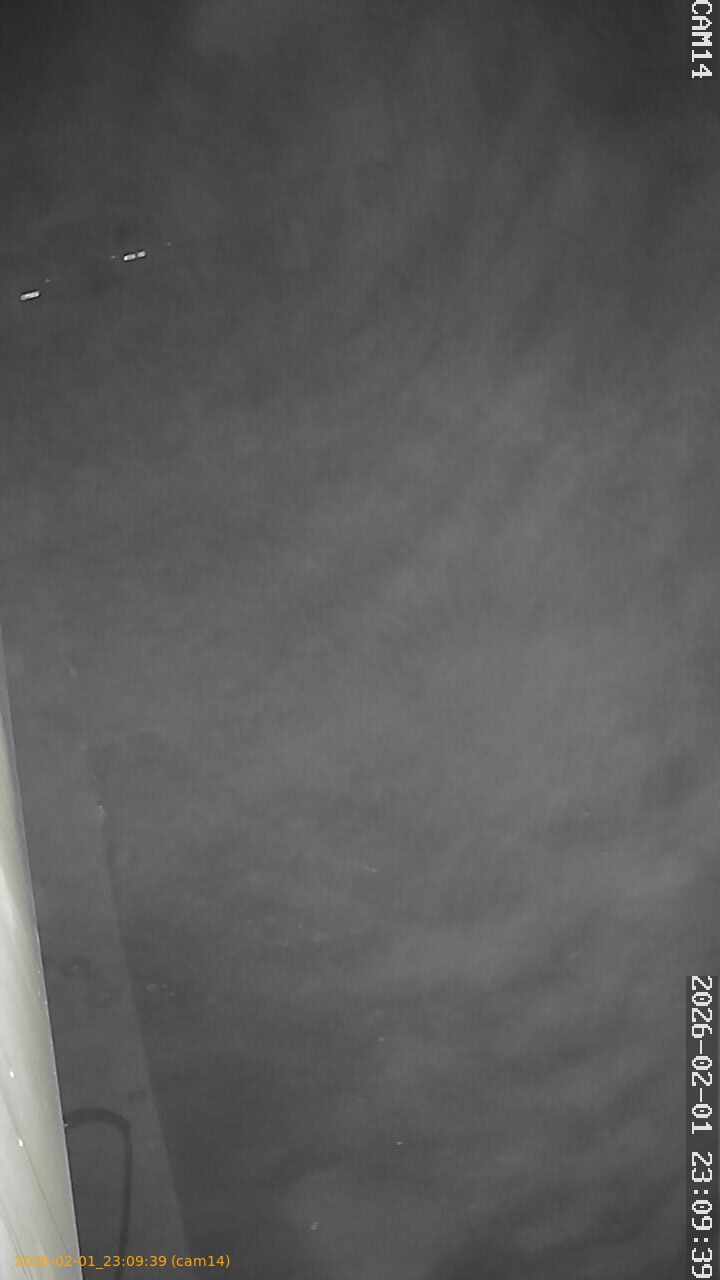 thumbnail_20260201230939