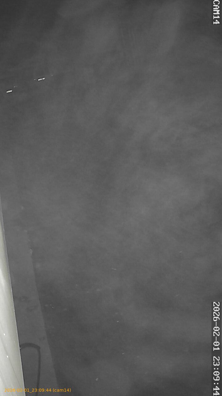 thumbnail_20260201230944