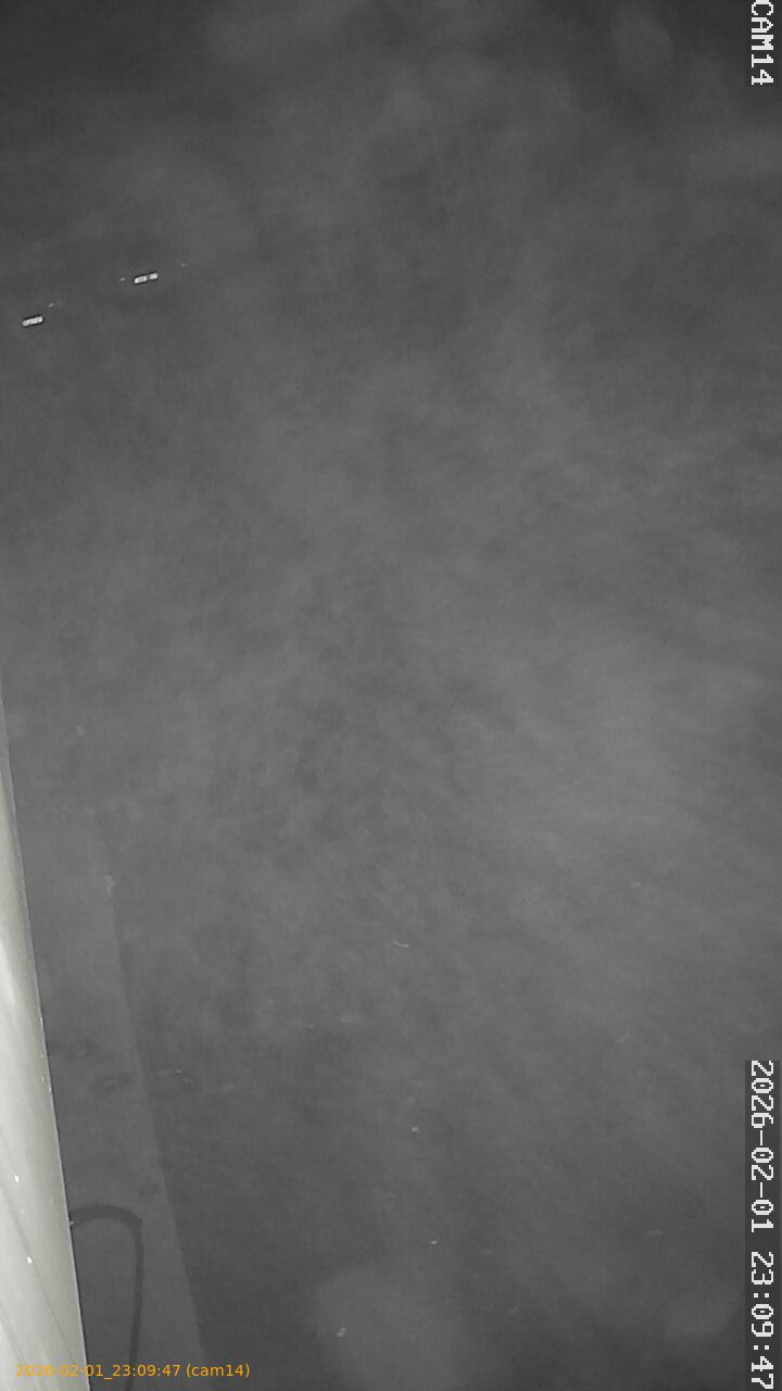 thumbnail_20260201230947