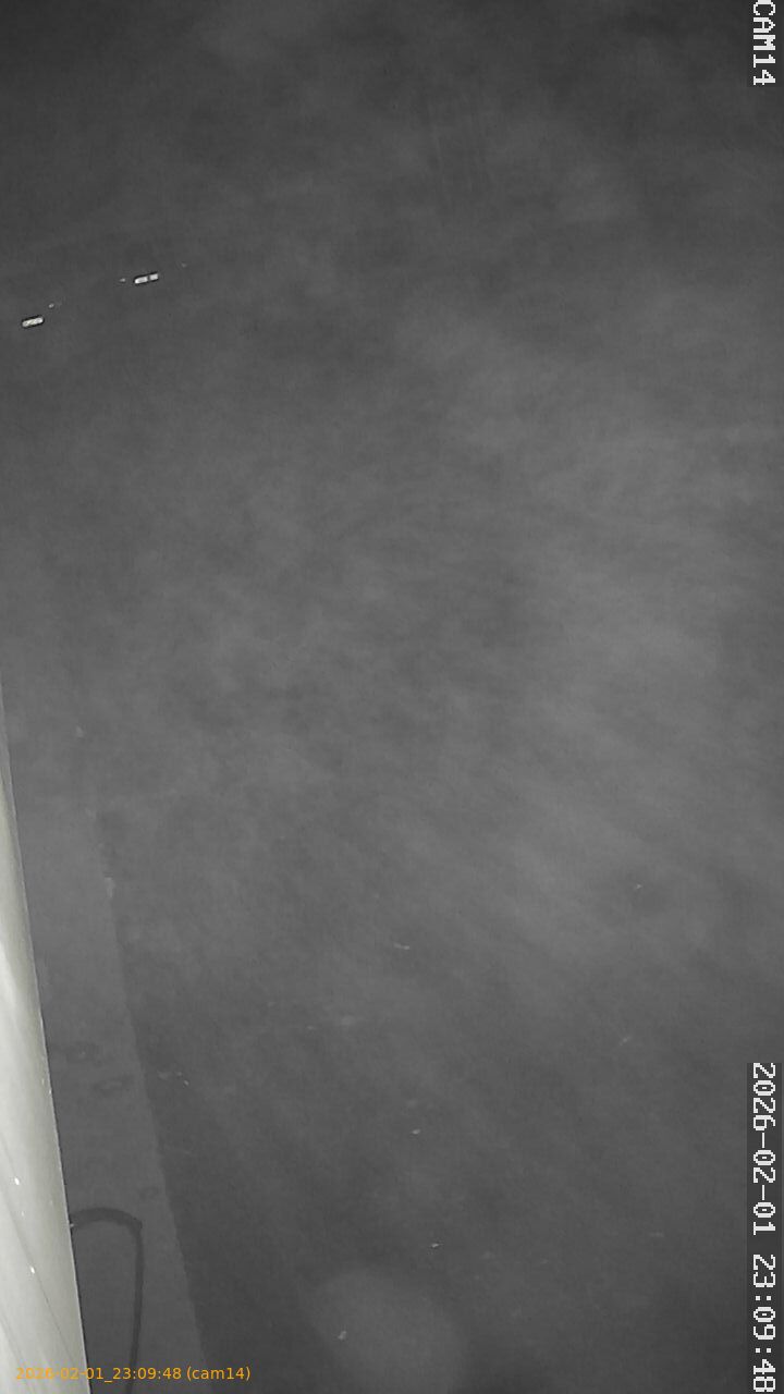 thumbnail_20260201230948