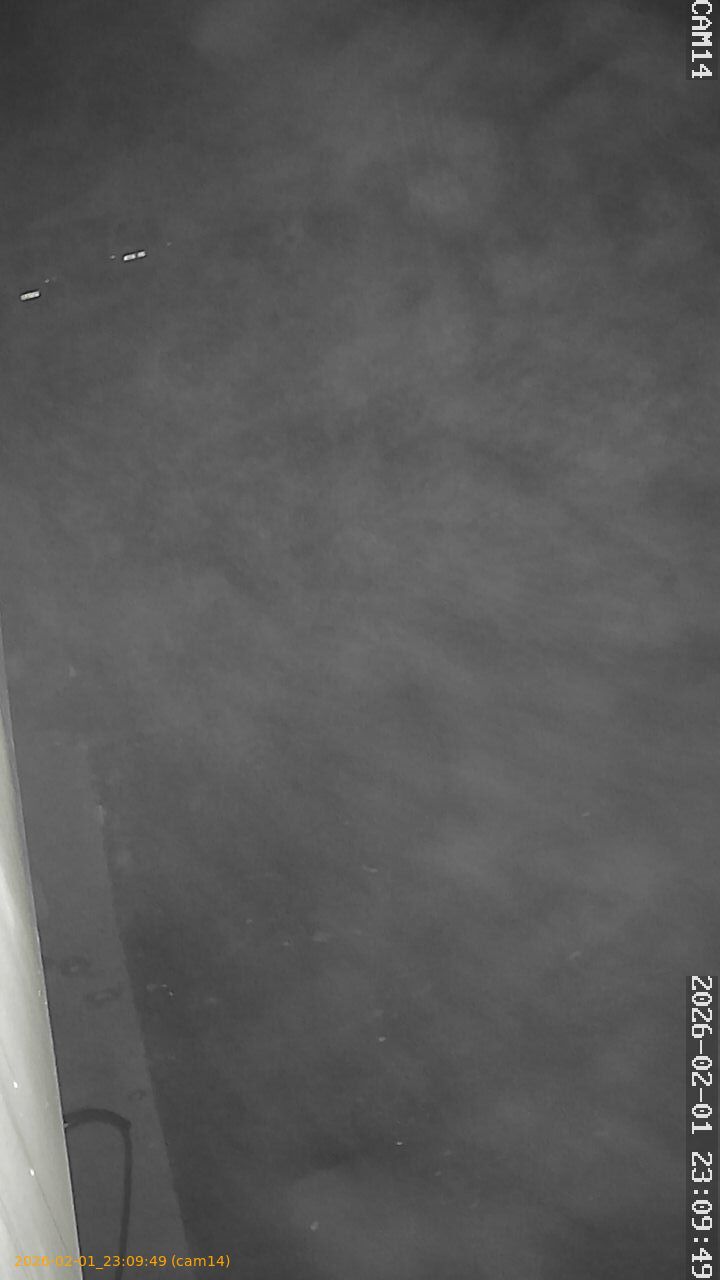 thumbnail_20260201230949