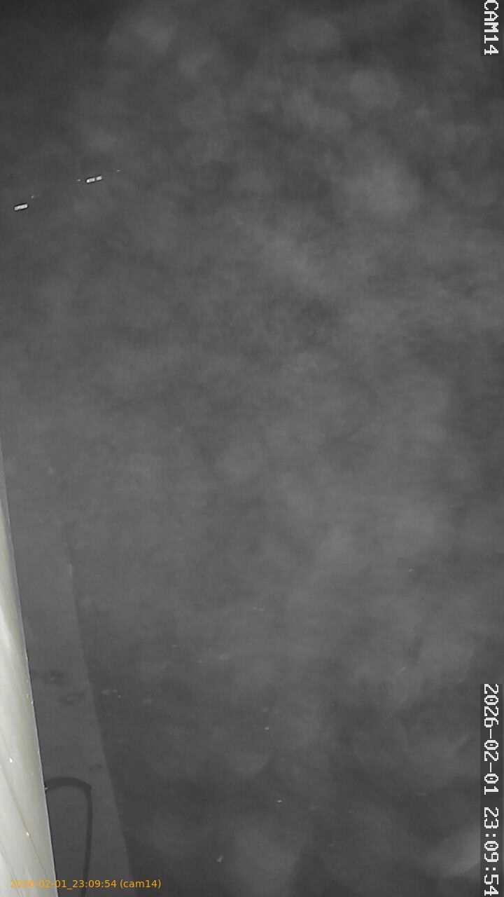 thumbnail_20260201230954