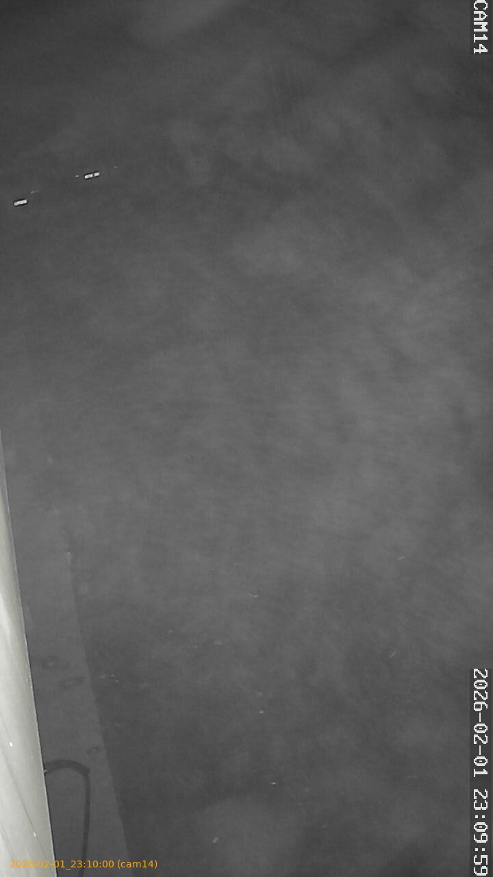 thumbnail_20260201231000