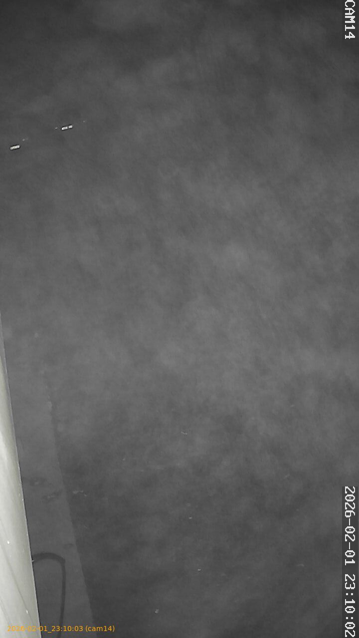 thumbnail_20260201231003