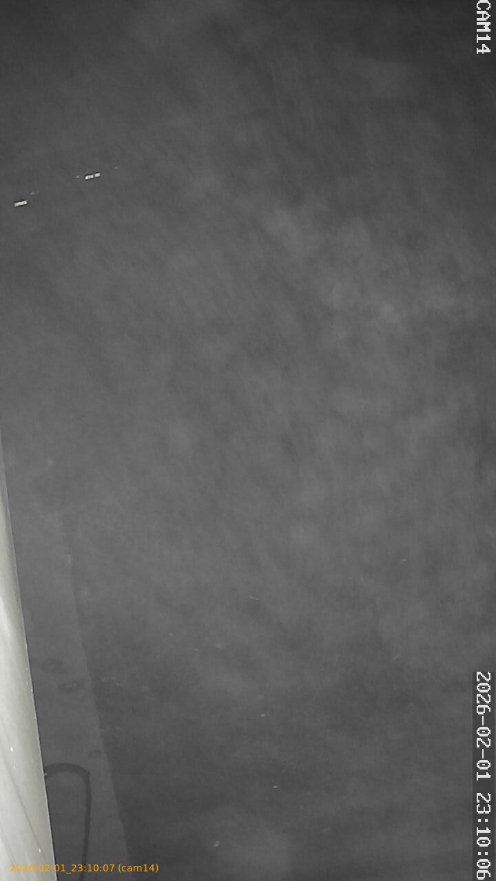 thumbnail_20260201231007