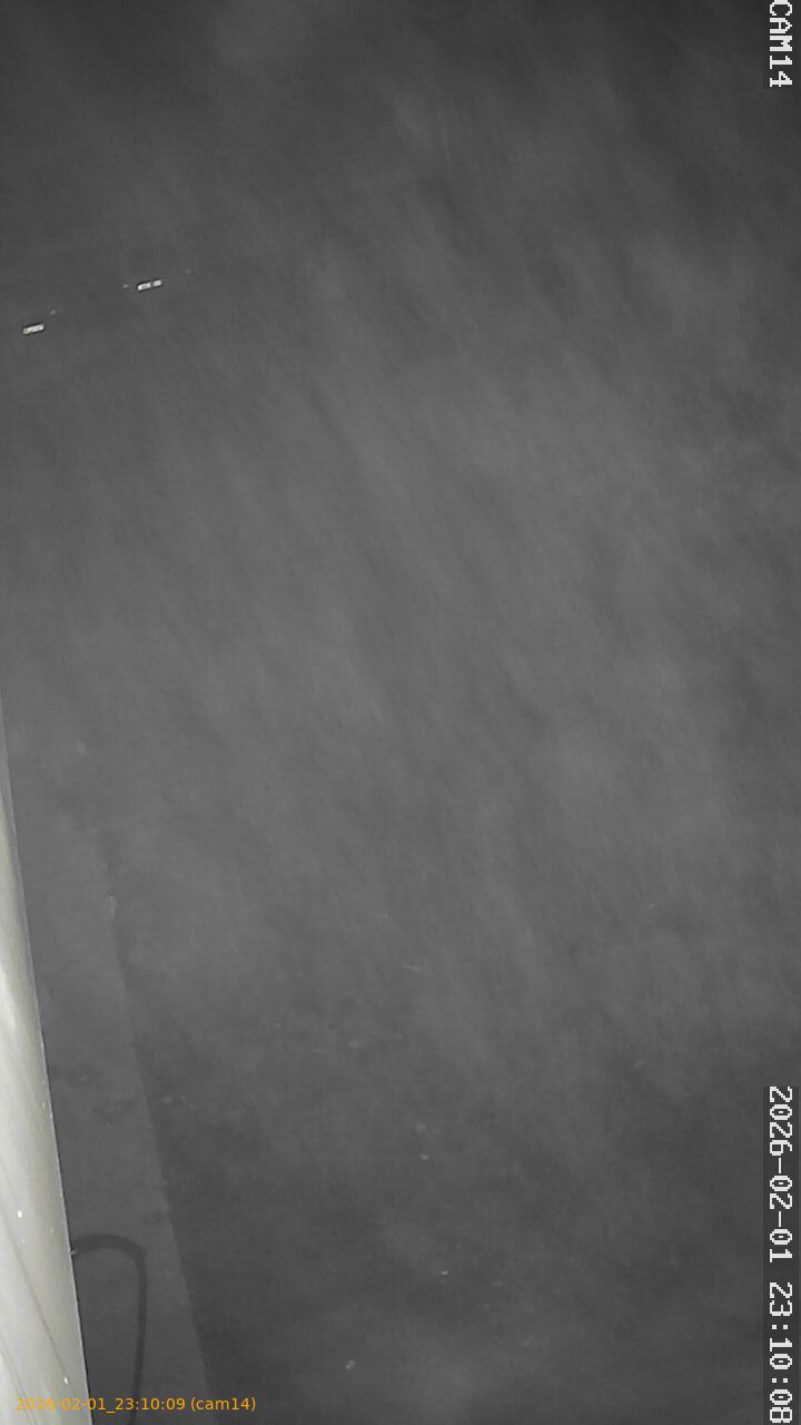 thumbnail_20260201231009