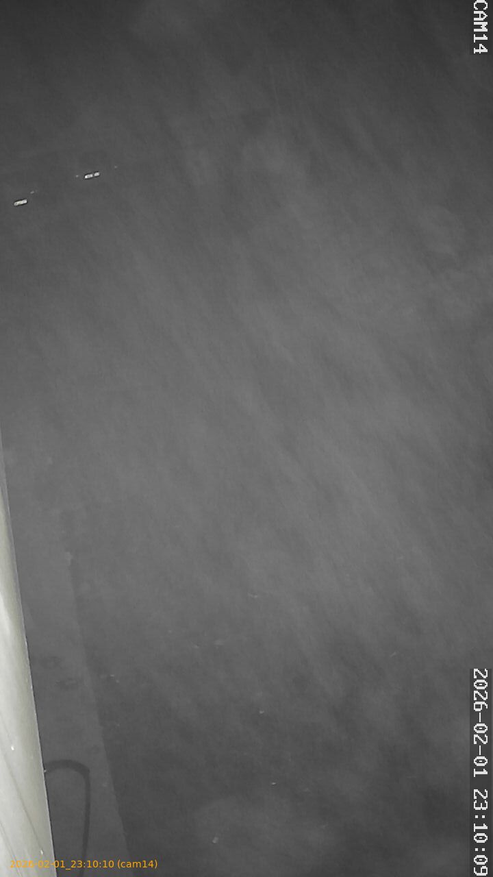 thumbnail_20260201231010