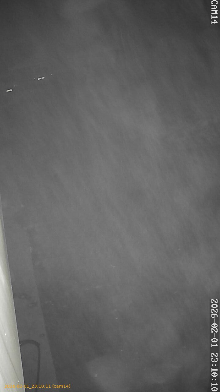 thumbnail_20260201231011