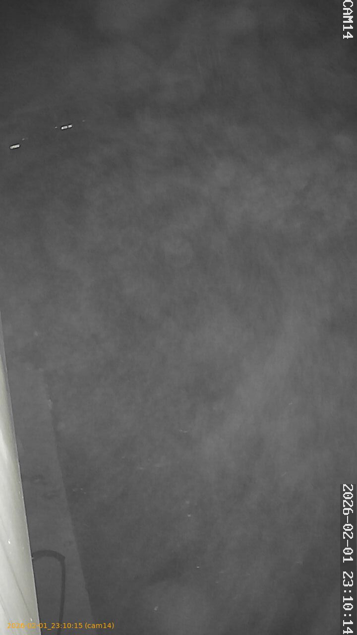 thumbnail_20260201231015