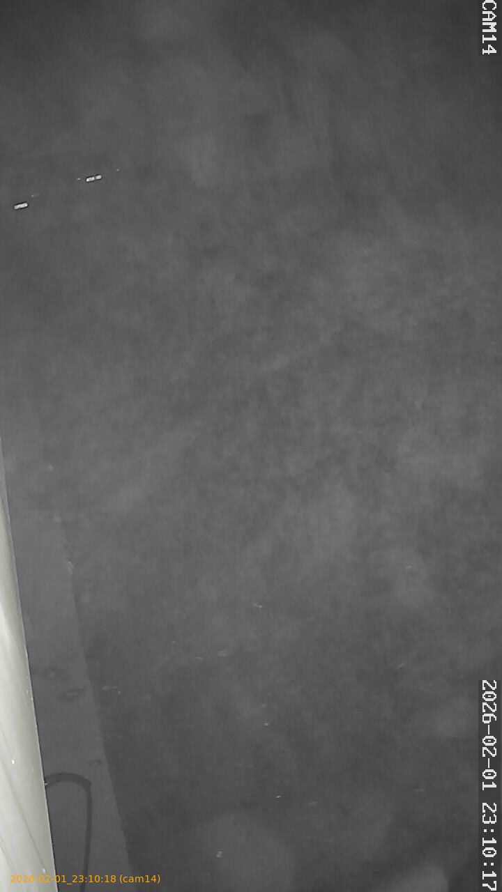 thumbnail_20260201231018