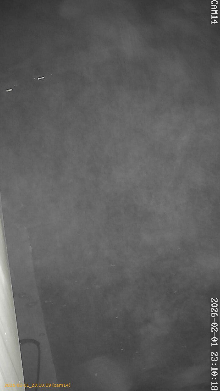 thumbnail_20260201231019