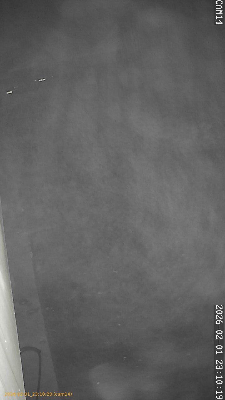 thumbnail_20260201231020