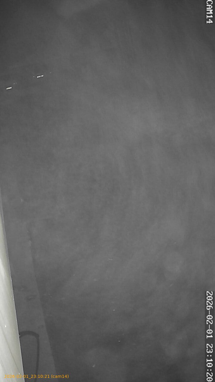 thumbnail_20260201231021