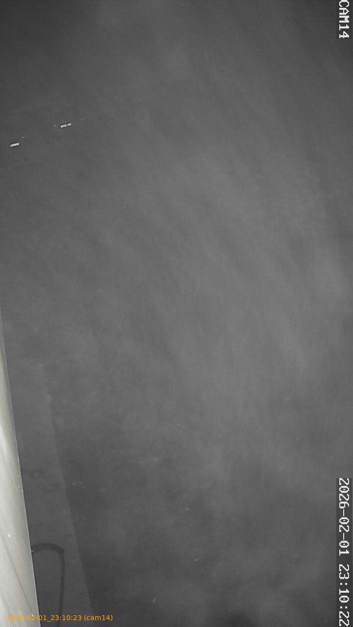 thumbnail_20260201231023