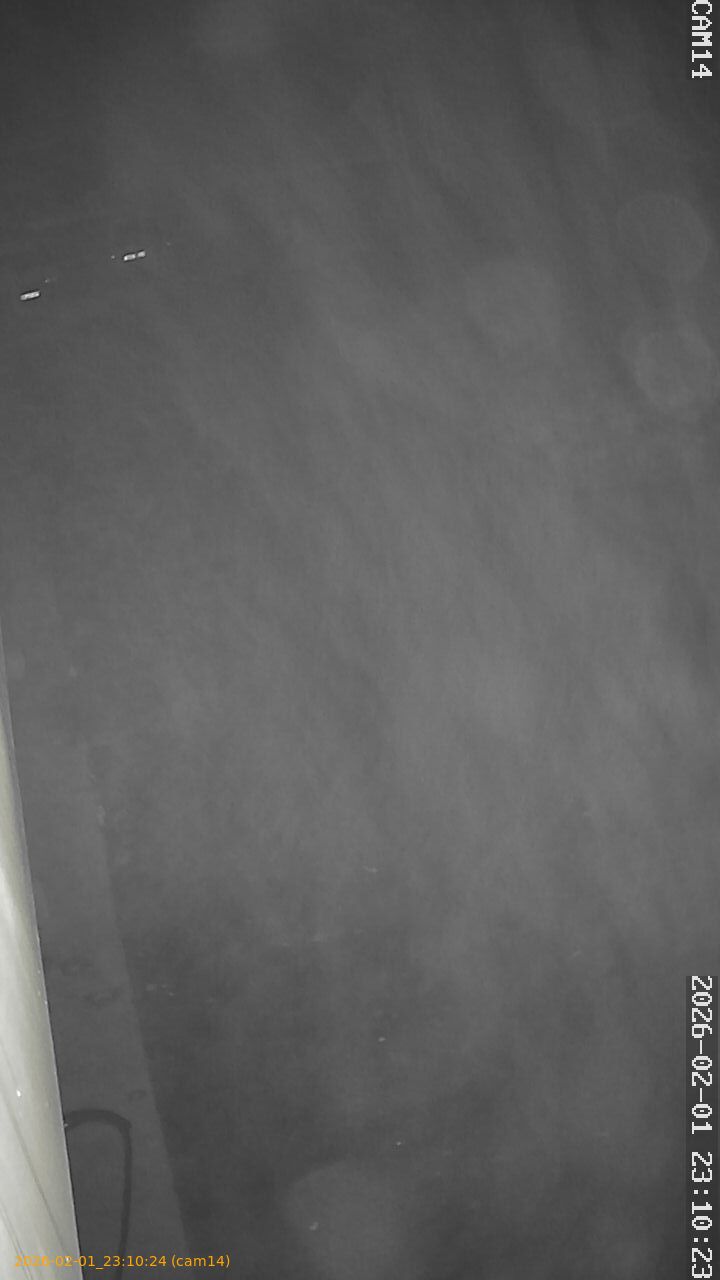 thumbnail_20260201231024