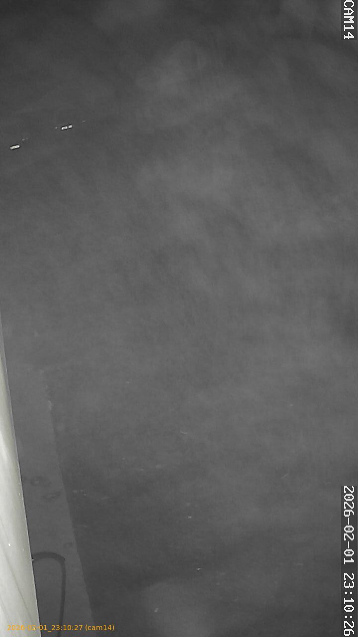 thumbnail_20260201231027