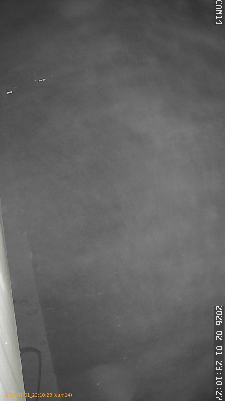 thumbnail_20260201231028