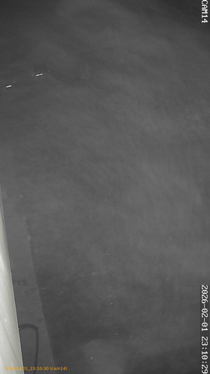 thumbnail_20260201231030