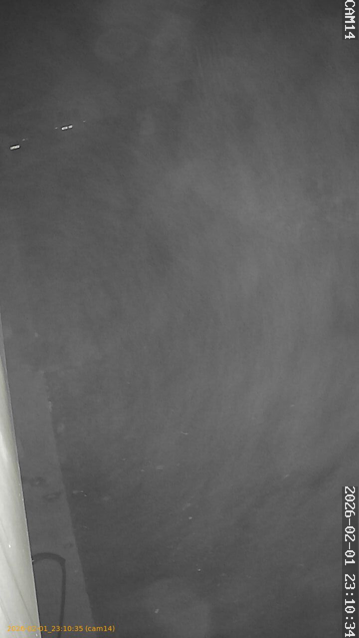 thumbnail_20260201231035