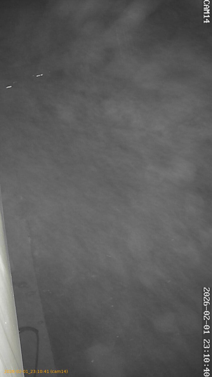 thumbnail_20260201231041