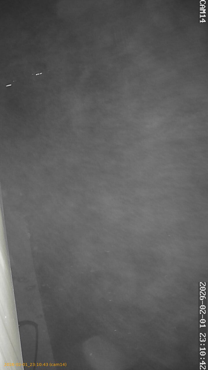 thumbnail_20260201231043