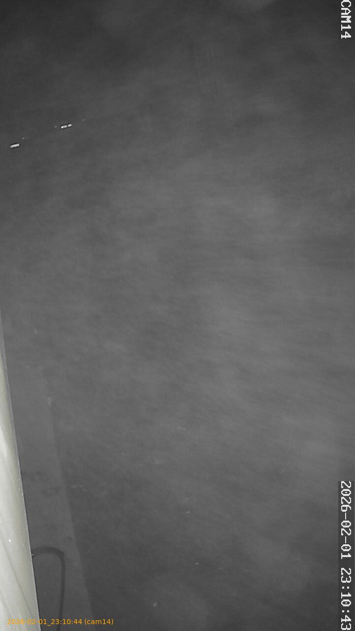 thumbnail_20260201231044