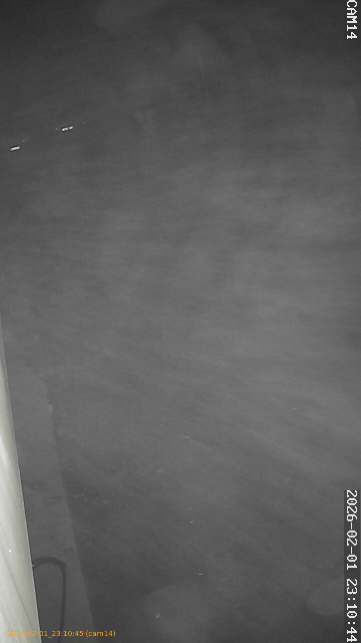 thumbnail_20260201231045