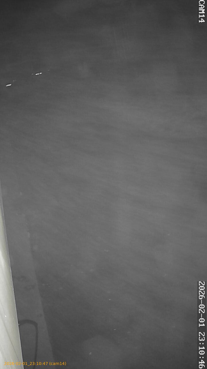 thumbnail_20260201231047