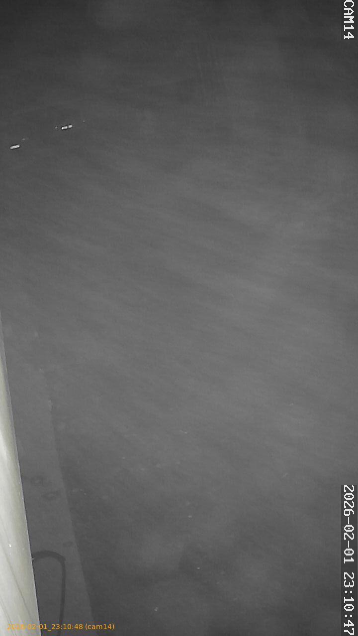 thumbnail_20260201231048