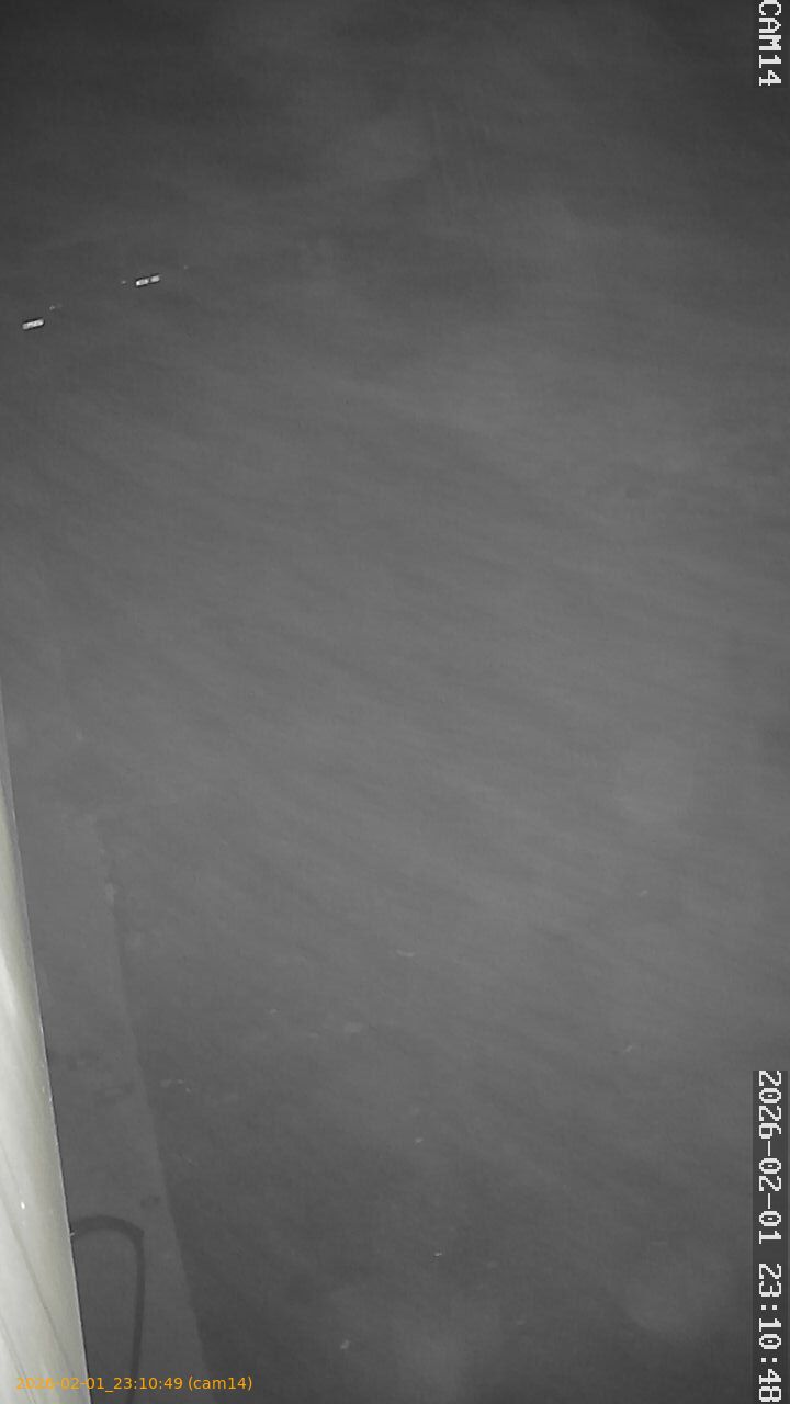 thumbnail_20260201231049