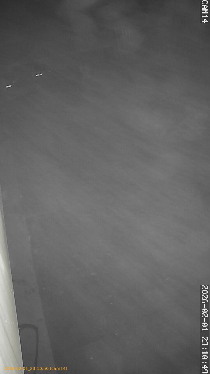 thumbnail_20260201231050