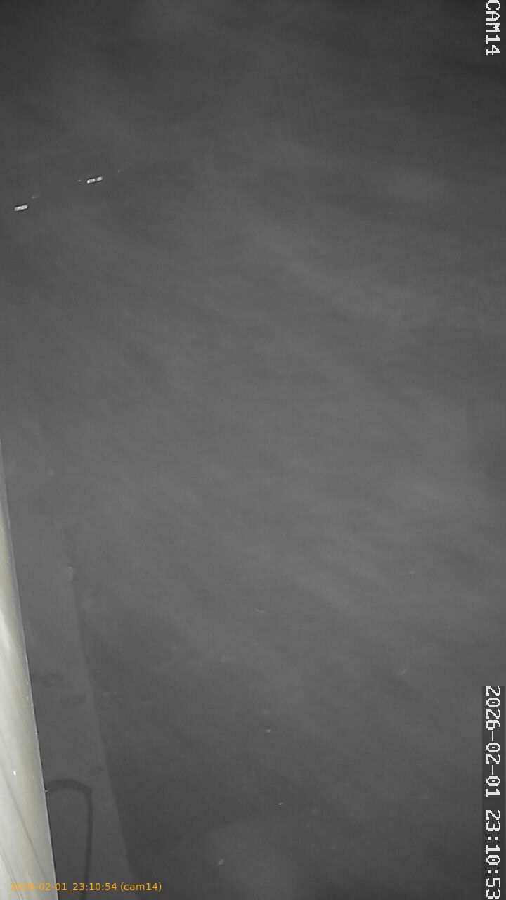 thumbnail_20260201231054